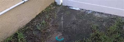 Septic Tank Water Pooling In Yard: Reasons And。